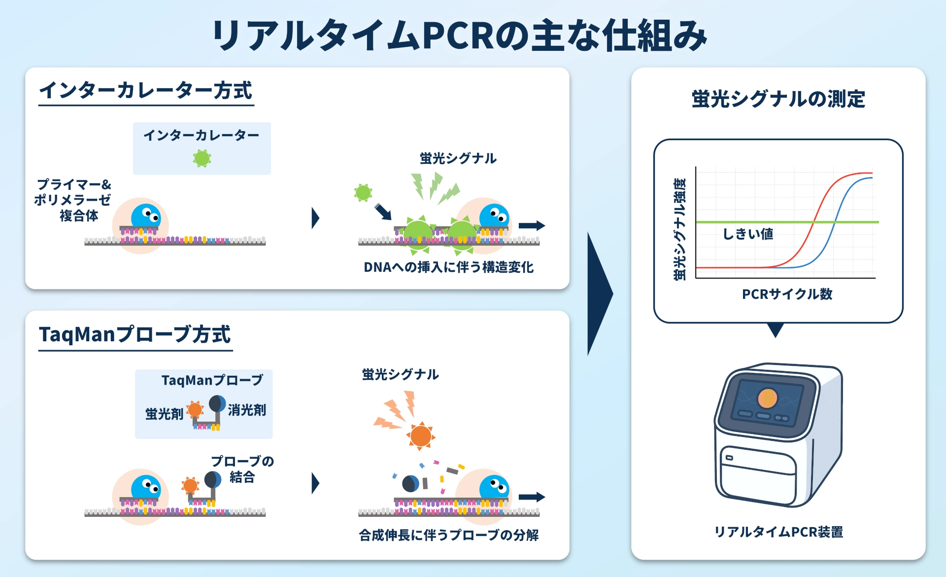 リアルタイムPCRの主な仕組みの図解。